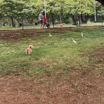 Diamond Head Bark Park photo 2